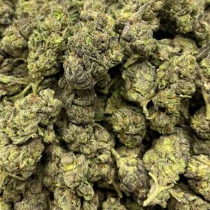 ITALIAN ICE STRAIN
